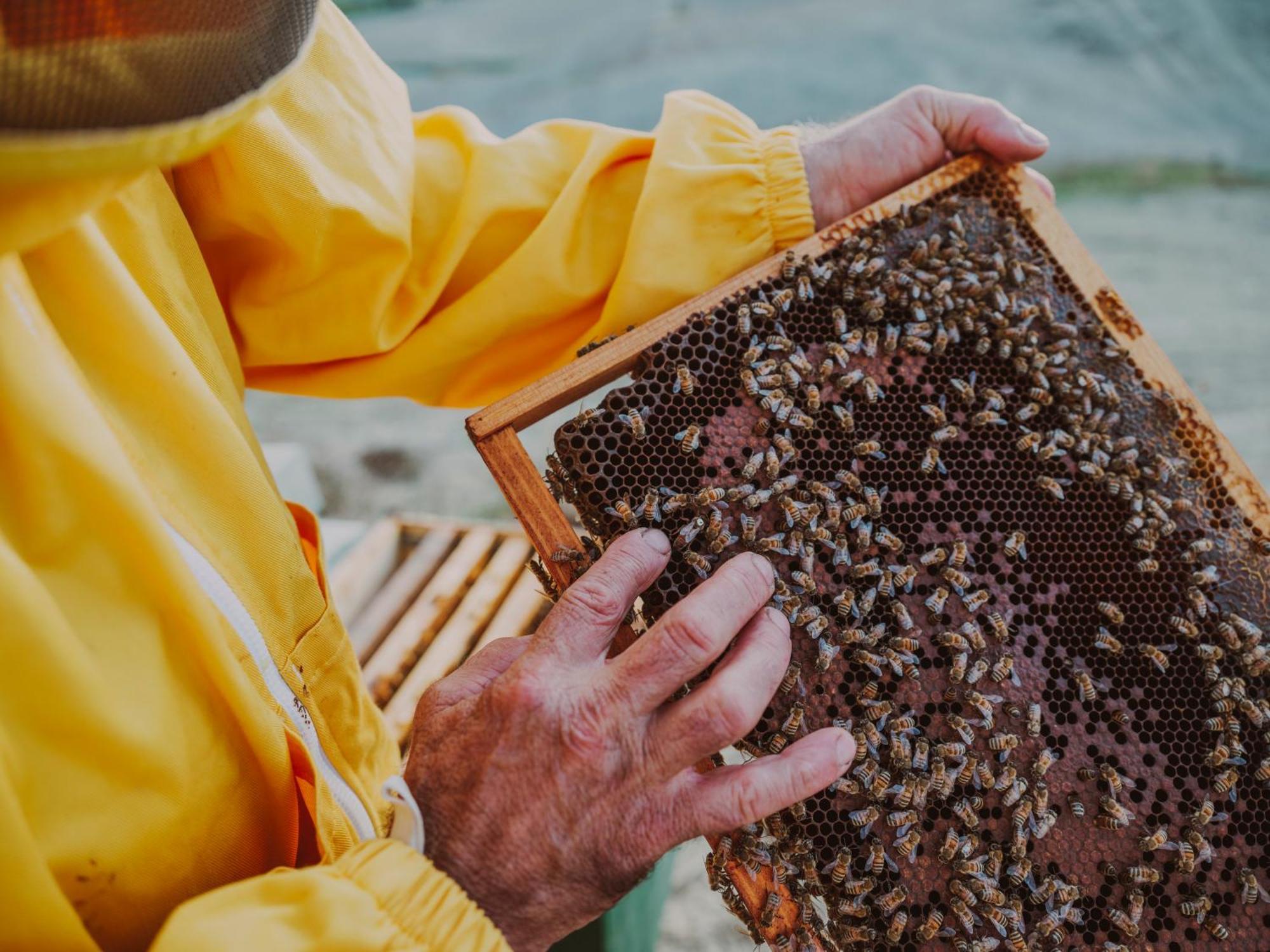 Agriturismo Pompilia Villamagna  外观 照片